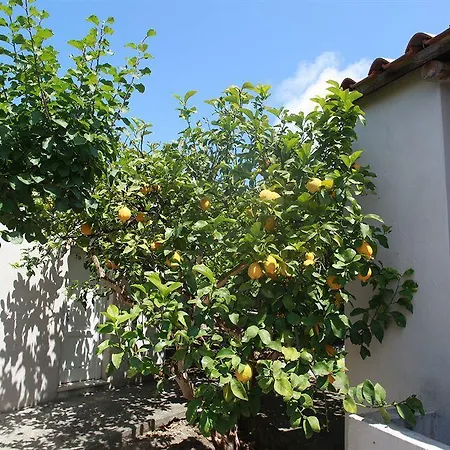 Agriturismo Il Vitigno 2* Forio di Ischia
