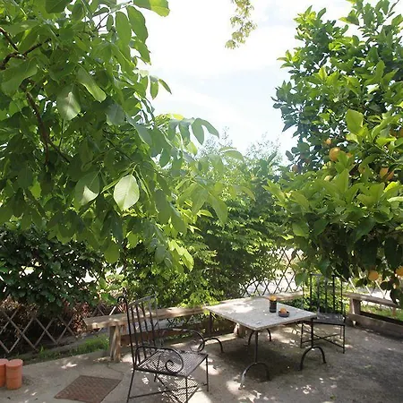 Hotell Agriturismo Il Vitigno