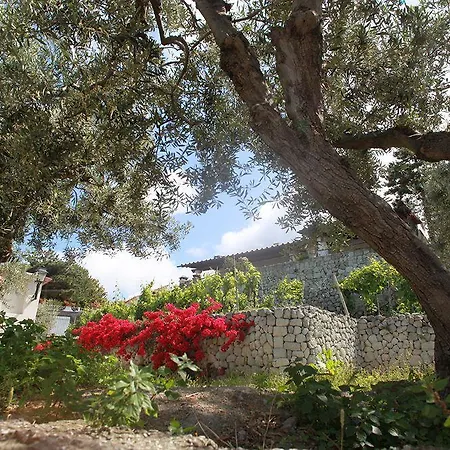 Agriturismo Il Vitigno Hotell