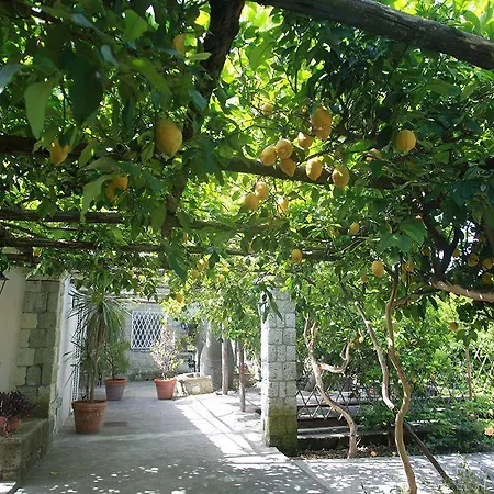Agriturismo Il Vitigno Hotell